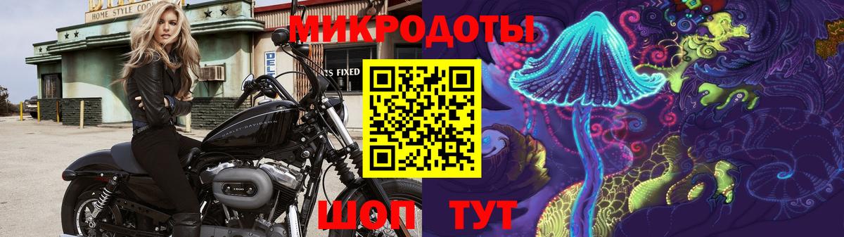 Михайловка  Галлюциногенные грибы Psilocybe  Вход с VPN 