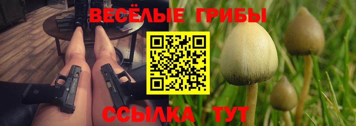 Псилоцибиновые грибы мицелий Михайловка